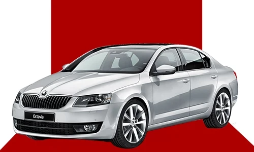 Skoda Servisi